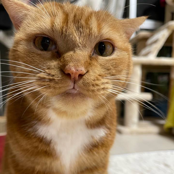 994fc9af fe39 458c abc2 1e55acd19057 1669029891396