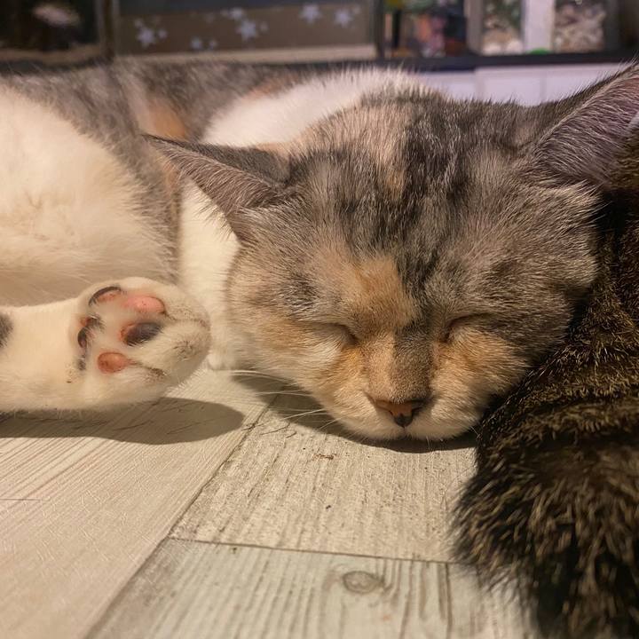 994ff285 aaad 4ff7 a5c2 264086563189 1598057154575