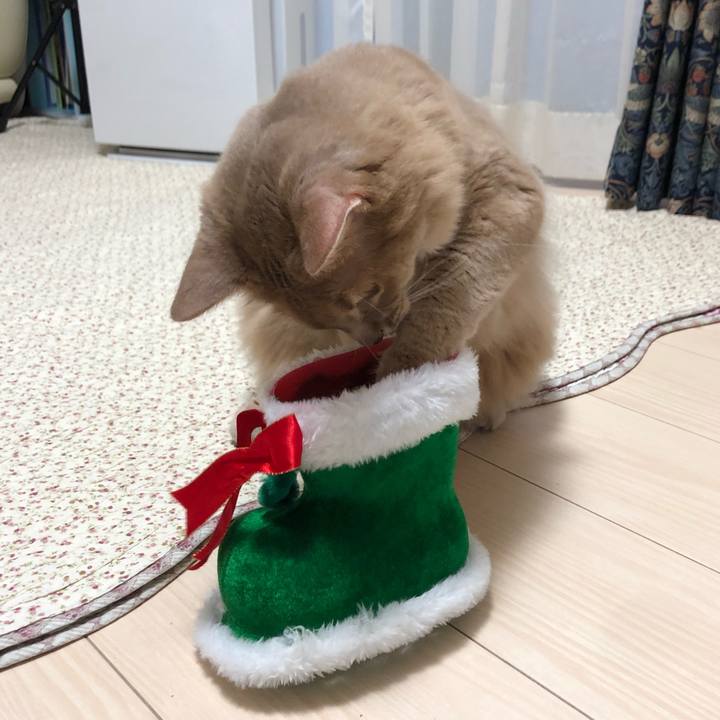 994ff840 eb48 4583 bb2c 93f71d2ef50b 1580609423869