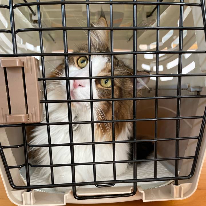 99501162 8588 465b 9d12 7a1a379dd307 1663376465718