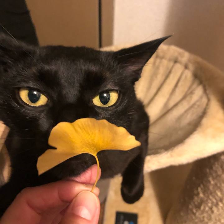 99501697 8867 498e 9a46 bf6fbe1e54f4 1638609187880