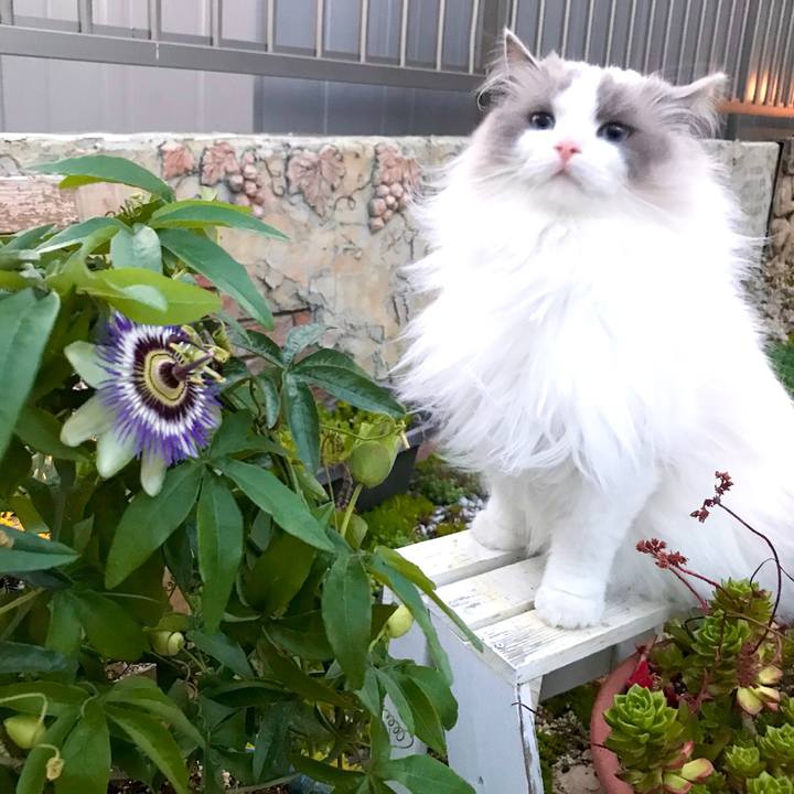 995031ed abbc 45b0 9c75 e7879d19202a 1620557171902