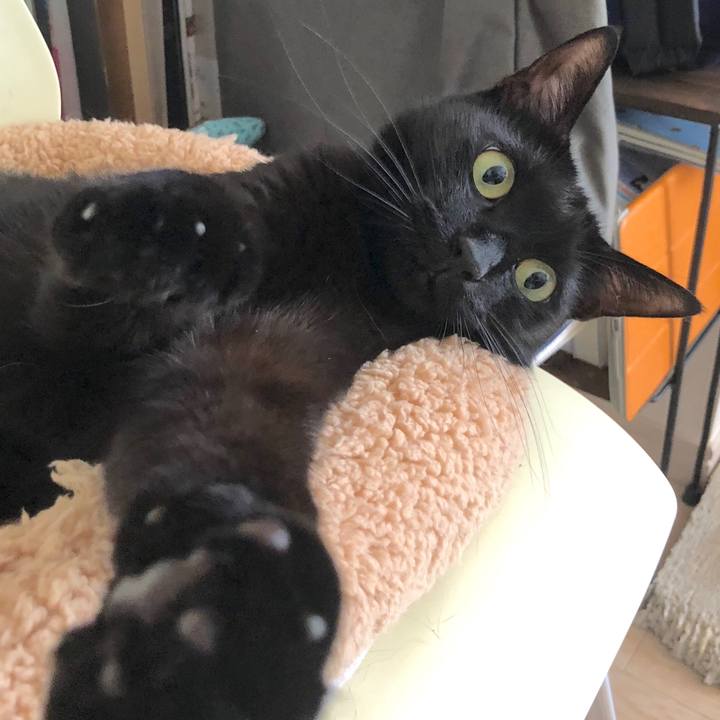 9950438e 5ad0 4b58 8ccd 9b3498422ee1 1529813673921