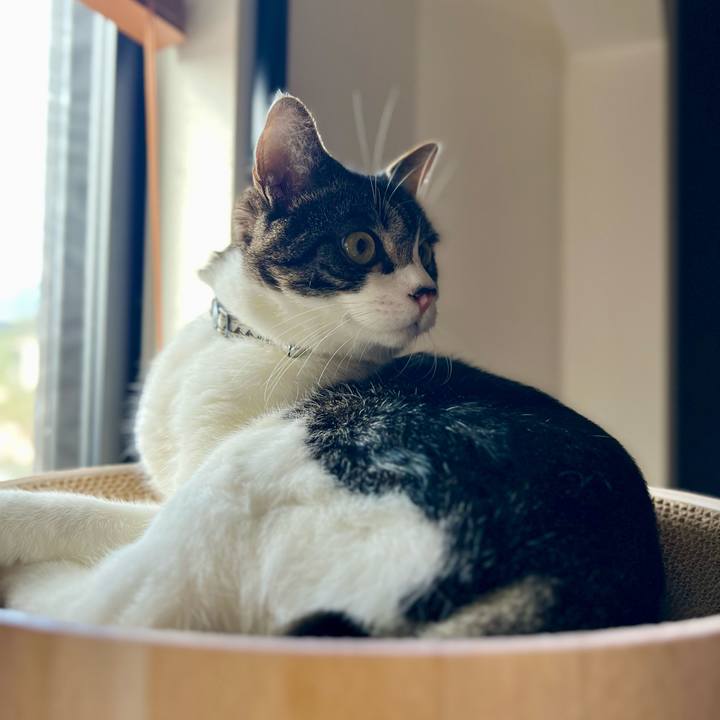 99504df2 2986 42f9 82a0 6510c610ce45 1763382946687