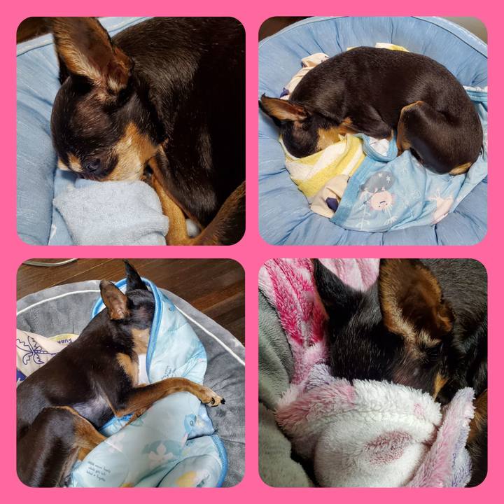 9950a0f1 8211 4590 a6ed 2dfb2f369bbd 1741429081594