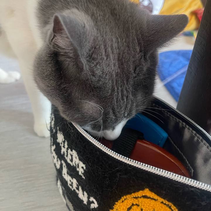 9950a56f a928 44ee 9afd f5352bf5e3e0 1751767830728