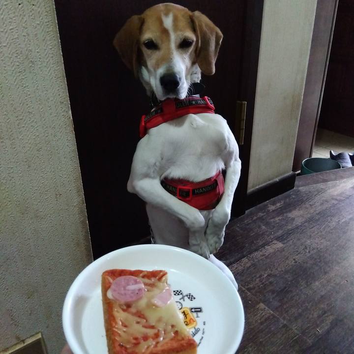 9950bcfa ba24 4a97 9750 ceff074e390d 1708434194457