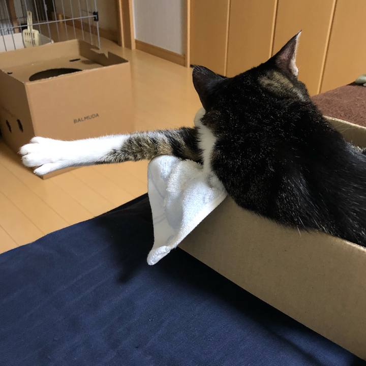 9950cde5 eef6 4f57 b393 0bcd8068e70e 1538932084053