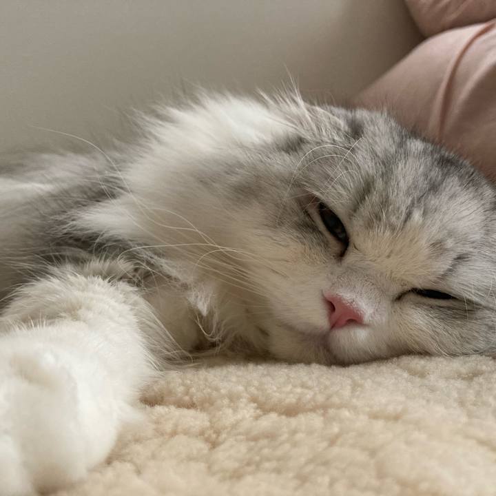 9950e782 a2a3 4afd 9b3b f0fb3432f5b8 1648039272984