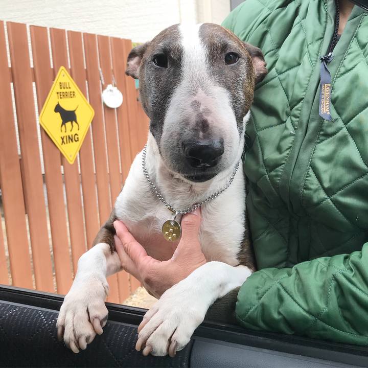 99511253 b87a 41c7 b9a8 5ea3bb2ff313 1520655667341