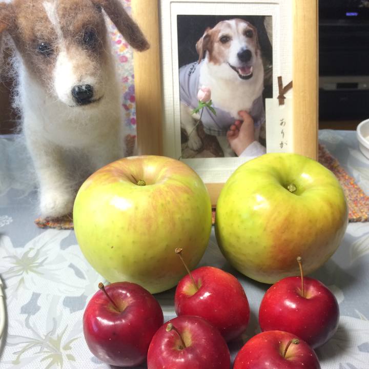 9951191e 428a 4f2b 9138 3ae090891ecf 1509864028719