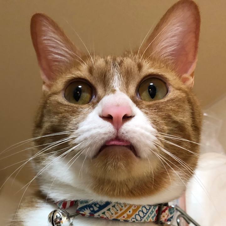 995240b9 b763 4895 b4e2 79d40e67a183 1582982892348