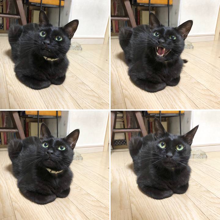 9952437b 177f 4b9c 8d42 499ca0b6a2d4 1593307239944