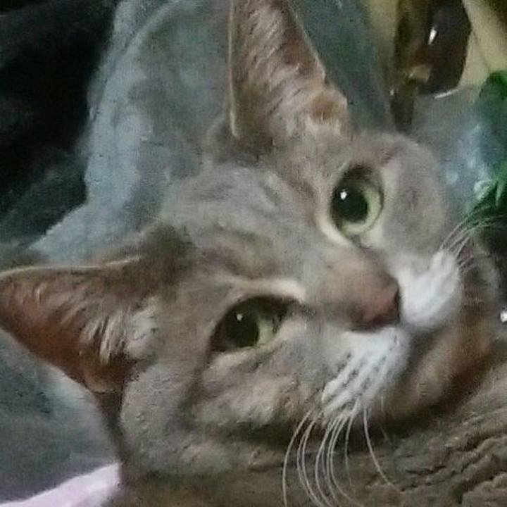 9952600a 86c7 4661 8363 8a96e235ca0f 1558713391795