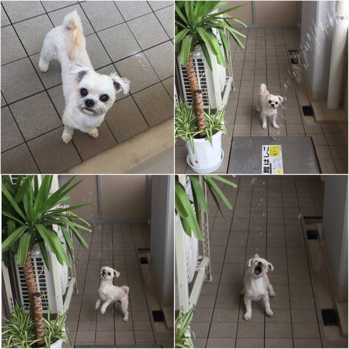 995290cf 7848 49b4 878a 403c27eb2555 1525589812192