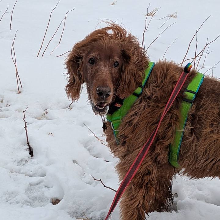 9952c011 ac67 4a61 bb7e 0643760debd6 1770691890033