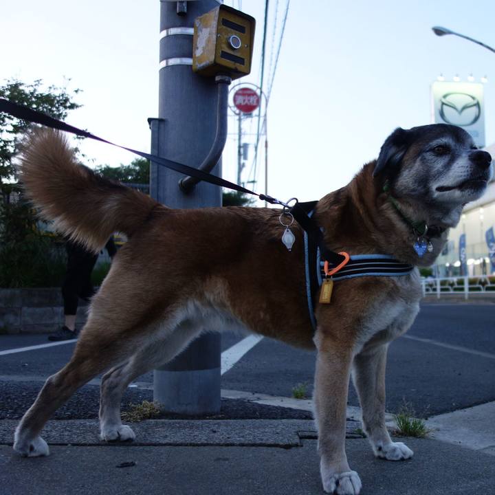 9952ddc9 f164 4549 b435 0e9e4554a449 1557064335313