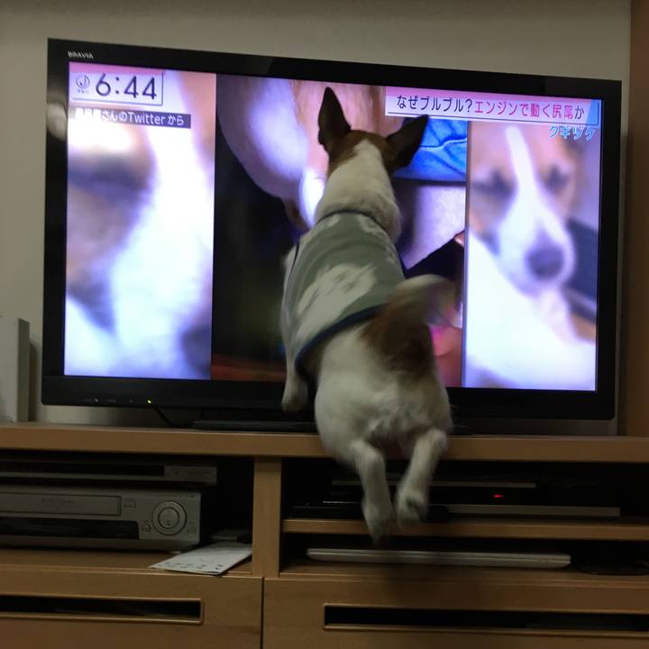 9952ea29 71d6 464d 8479 70ee505ee7e9 1614295895820