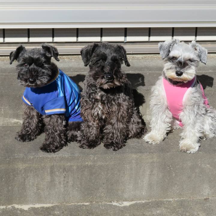 9952f695 0d59 4b97 8250 f5dc5b6b47d9 1609471377325