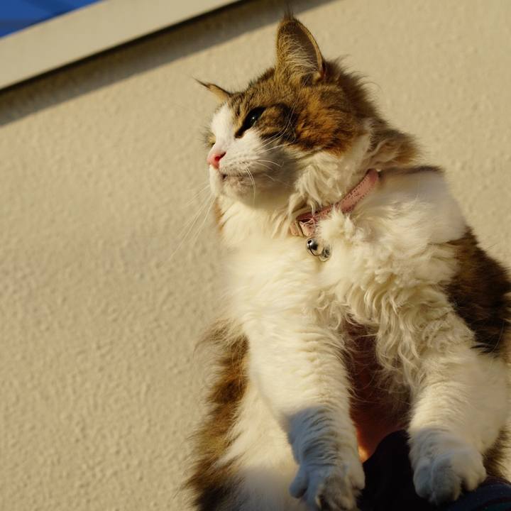 9952f7f0 1043 4966 8349 433aa21355ba 1677488008979