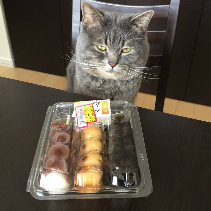 99530cc1 ca43 4b3c ba13 a5389ff7d458 1517715868713