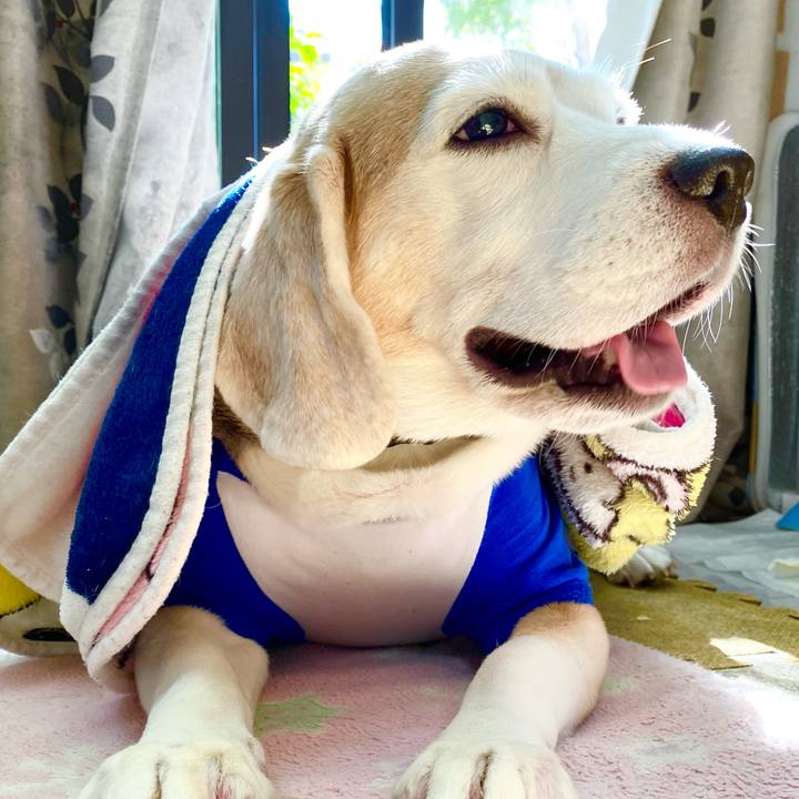 99533e57 c831 4c0d ba56 c24d63e56690 1634964631213