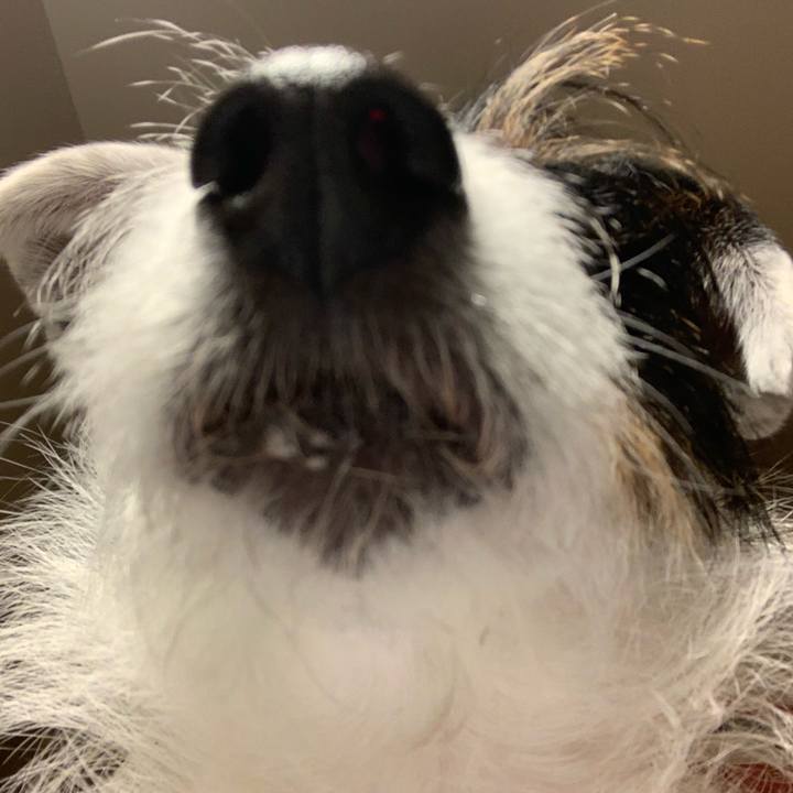 99535a7d d5fe 4d3f 8197 5766b5ce5398 1614249137410