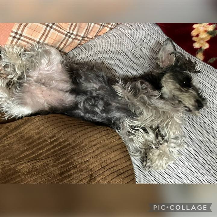 9953da3f e3e3 4da7 babd 66c0db4df2cc 1744986193816