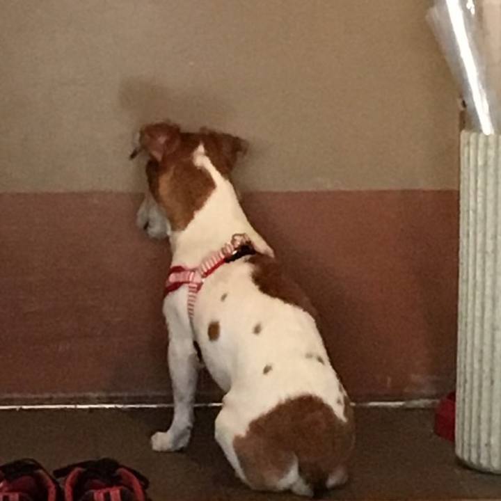 9953e58a e4af 4cea 9154 618903c44886 1571152035702