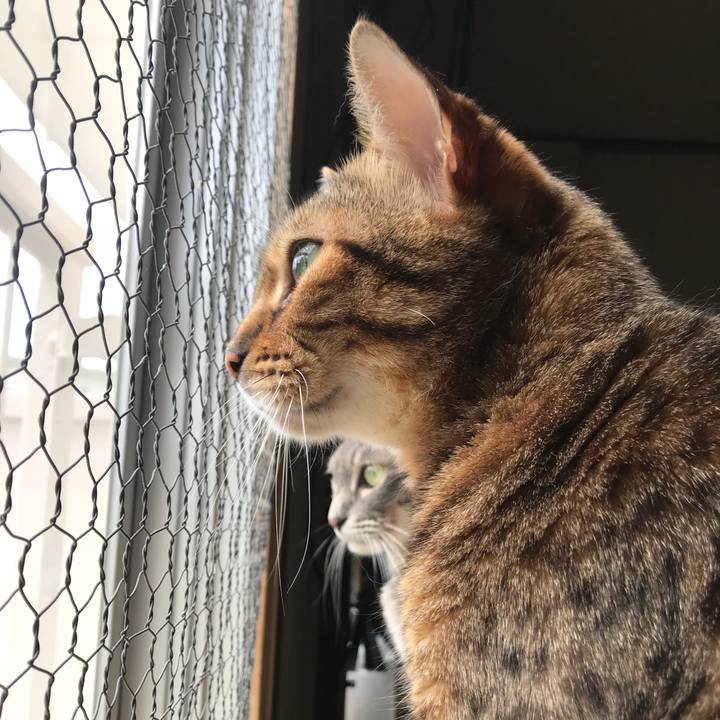 9953edd0 2ade 455f 94df a693dab22c1e 1535612340730