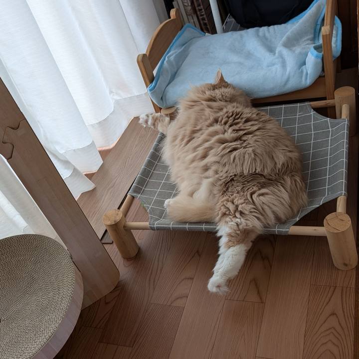 99541862 191e 4f39 bac7 1ff260660628 1728104582712