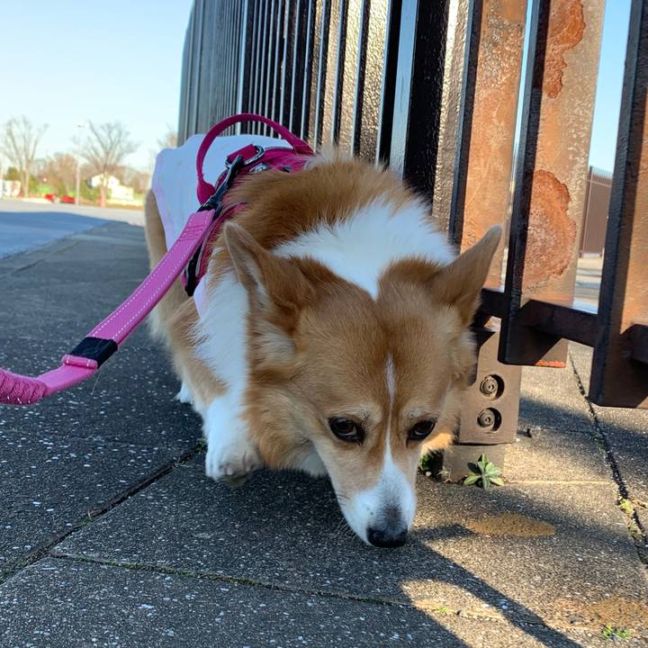 9954c19a ce93 45a7 9d07 1f99b274aa6d 1613717785382