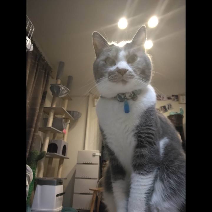 995523bb f360 45a9 b1b0 877f36163494 1677843424455