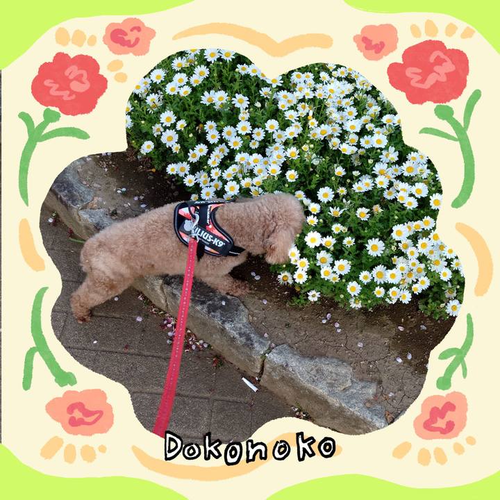 995564f7 2e43 4868 b7aa a6a36c5e7b6f 1714980175548