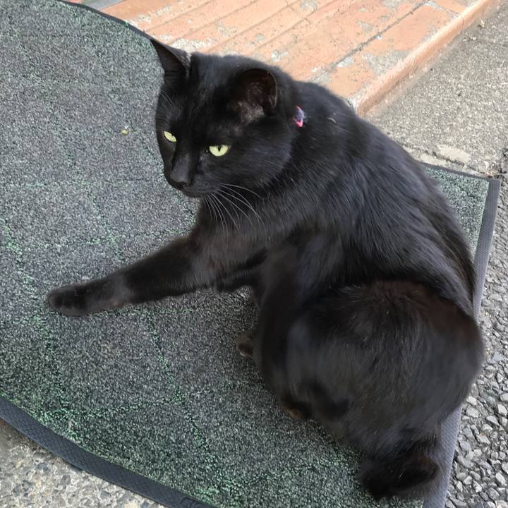 99557881 6249 4270 a49d 6d296564cc60 1545366014491