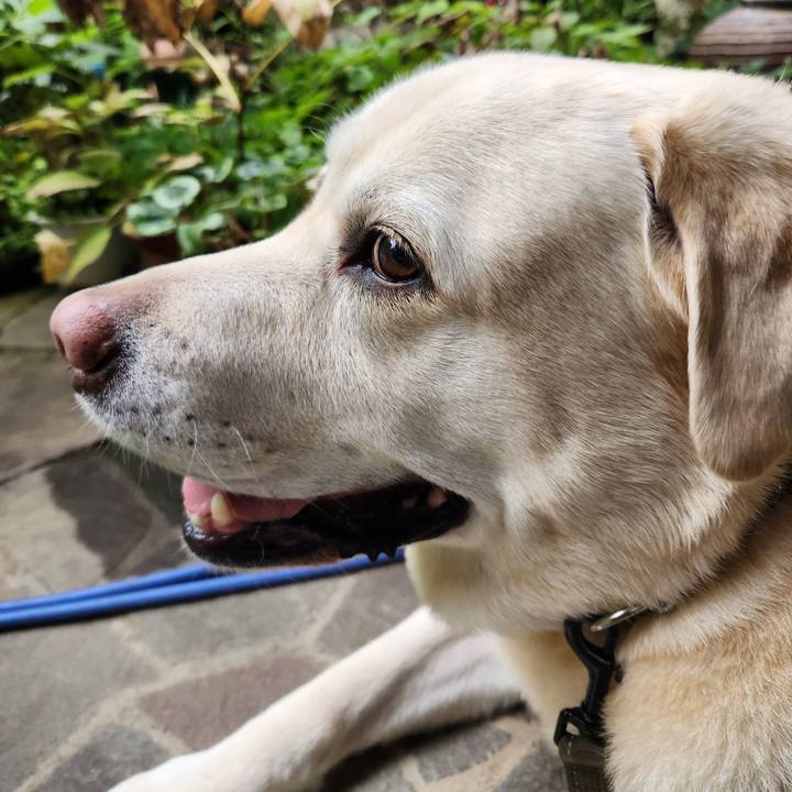 9955ac7c 618e 4486 b868 94eec6a05db3 1759555538459