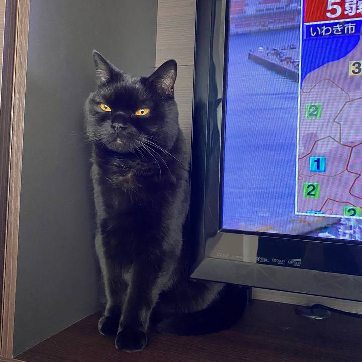 995605a5 fac6 4f5b 9999 32206ea7036a 1653191672967