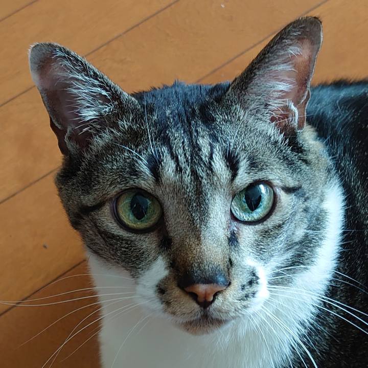 995634af 0436 47eb abdd 6f67094fc856 1649810728509