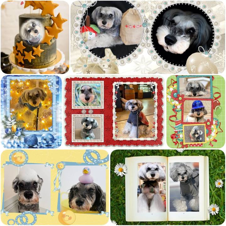 99565af8 29e5 47b0 bafa fba8ff364dec 1639692002834