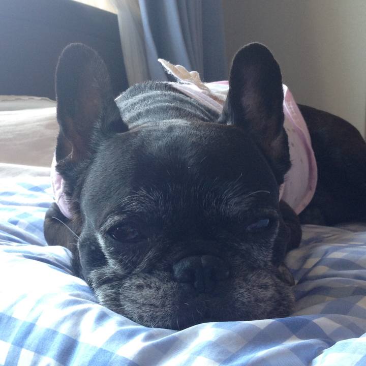 9956e0ab a806 48cf bfac 82d7148f16f7 1642845039560