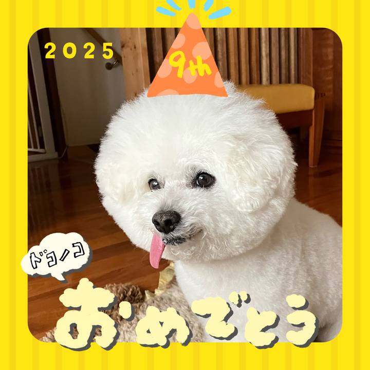 9956ea0f b343 46ea 9e00 f62c8b3dbb1b 1749507619362