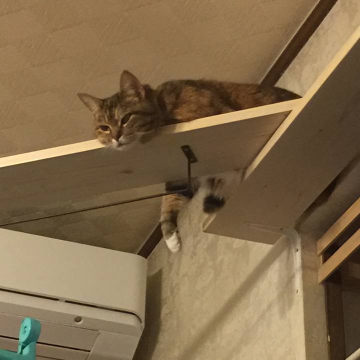 9956eb57 8f40 469d 9974 c58937559e91 1559750109075