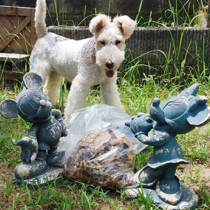 9956f19a ace6 46e3 b8e0 da90c1ce288f 1565586753449