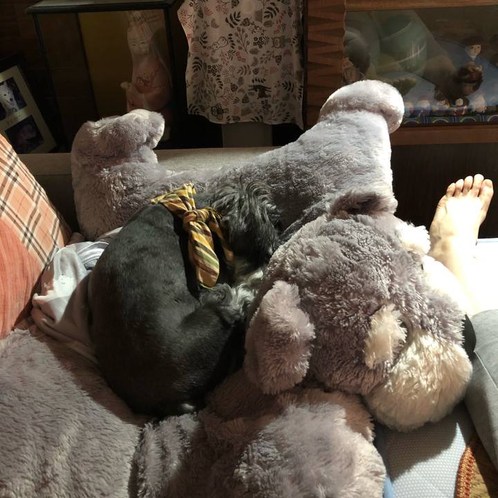 995717ae 689b 4a78 a66f 3a299528b91f 1656232237346