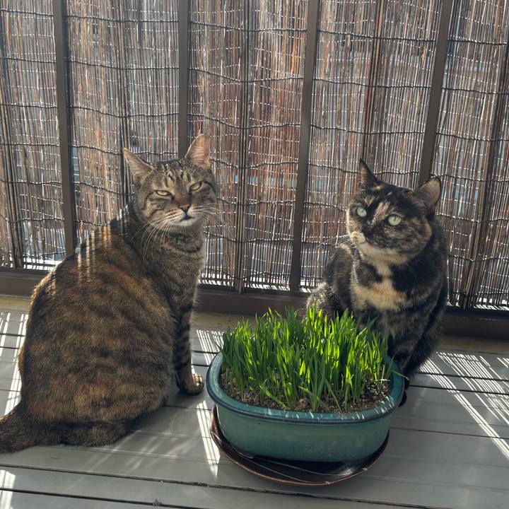 99572236 b7a9 4eb9 95fe edb3658df640 1768782694266