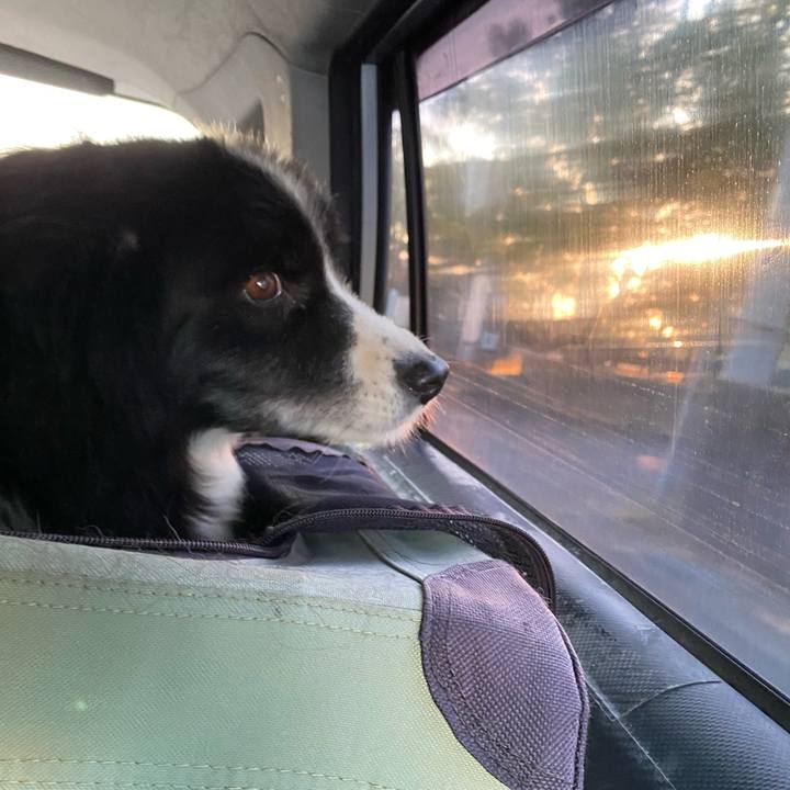 995726b6 f6aa 457c bc7d 1729b8a15dce 1698098893365