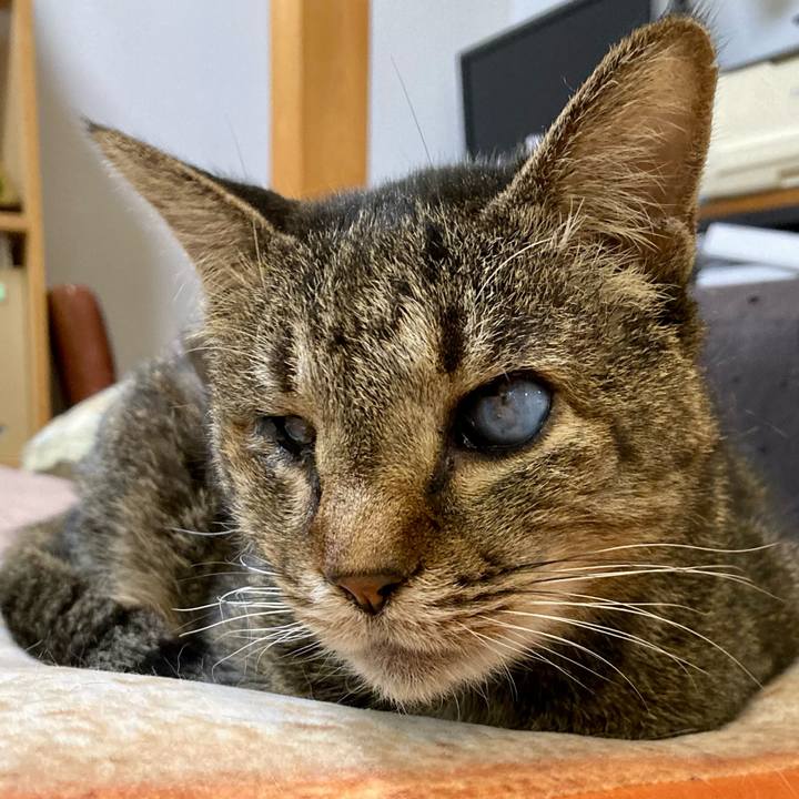 9957273d 000a 4c55 8632 a1c1e79b81f7 1673223493963