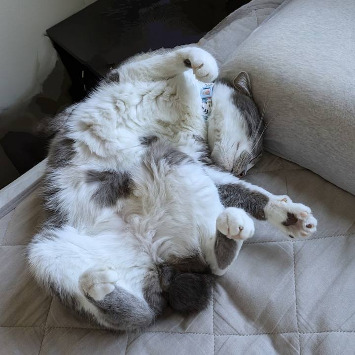 99572bcb ede4 42d3 b195 0835765c843b 1728701971595