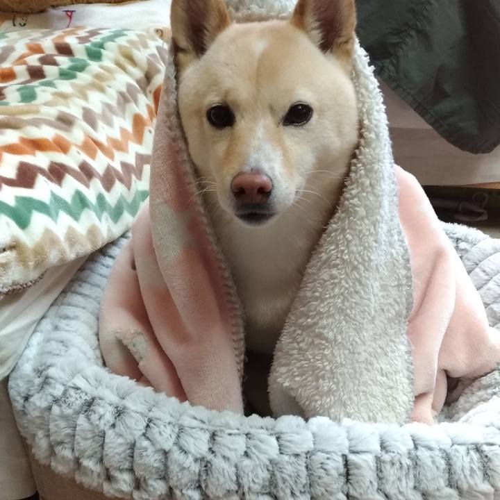 99576a6e 42c6 426c 840e 8f8a584dbb0e 1578788376236