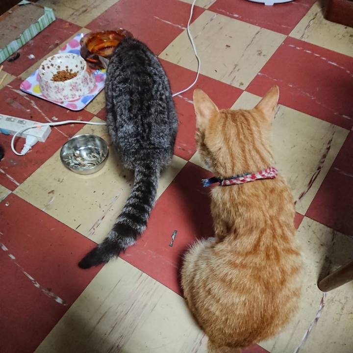 9957af09 79fa 4cc6 9d3e 5c99ba071d99 1561242998106